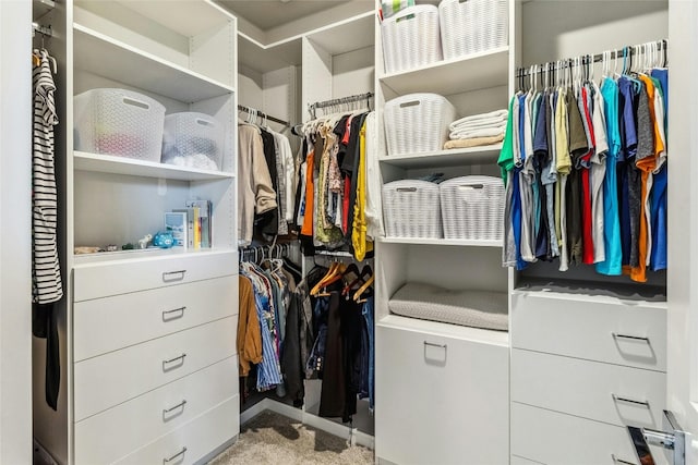 walk in closet with light colored carpet