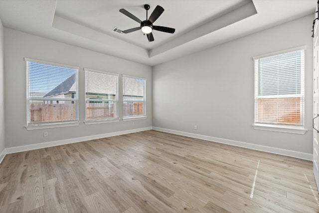 spare room featuring a raised ceiling, a wealth of natural light, and light wood-type flooring