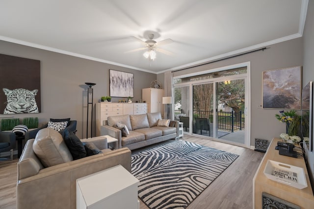 living room featuring ornamental molding, ceiling fan, and light wood-type flooring