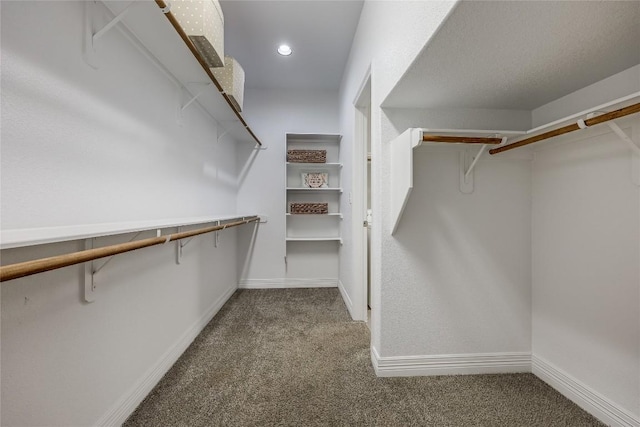 walk in closet featuring light colored carpet