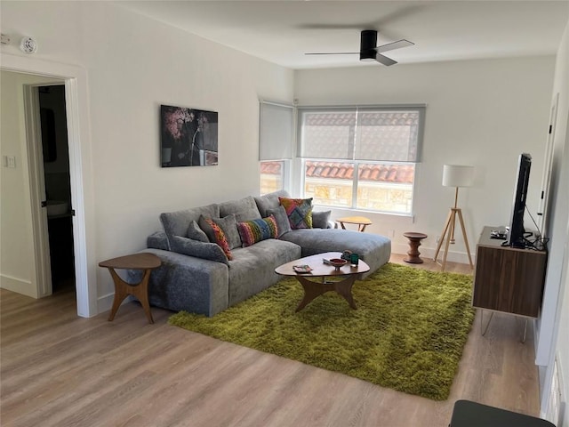 living room with ceiling fan and wood-type flooring