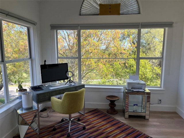 home office with hardwood / wood-style flooring and a healthy amount of sunlight