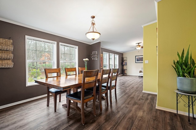 dining space with dark wood-type flooring, ceiling fan, and ornamental molding