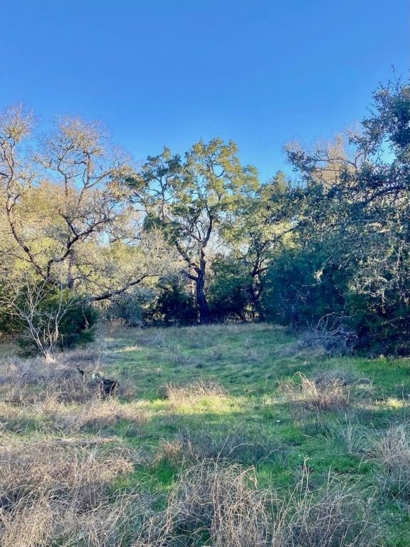 1081 Clark Cv, Buda TX, 78610 land for sale