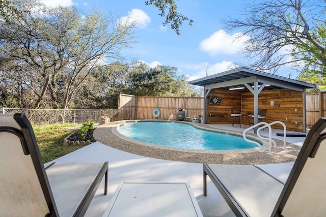 view of pool with a patio area