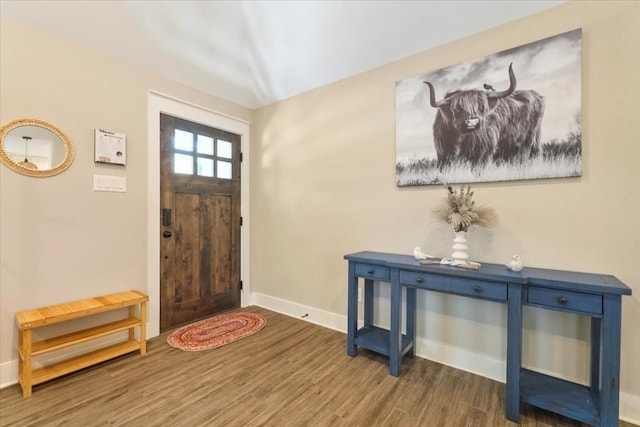 foyer with dark wood-type flooring