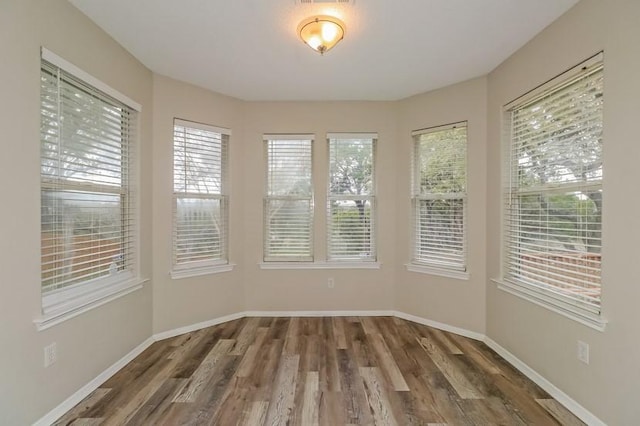6333 La Mesa St, Leander, TX 78645 - spare room featuring wood finished floors and healthy amount of natural light