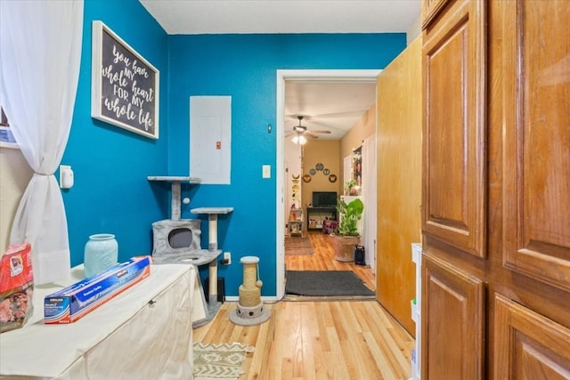 hallway with electric panel and light hardwood / wood-style floors