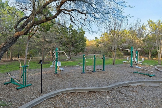 view of jungle gym