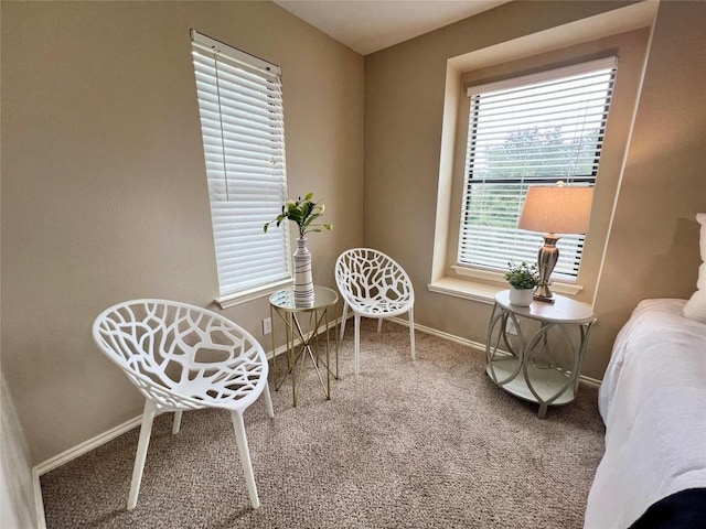 living area with carpet floors