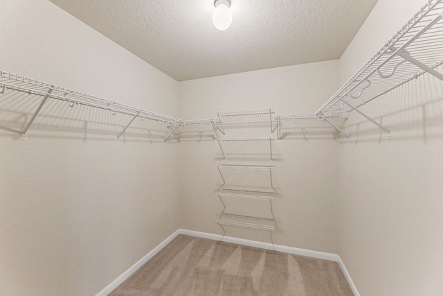 spacious closet with light carpet