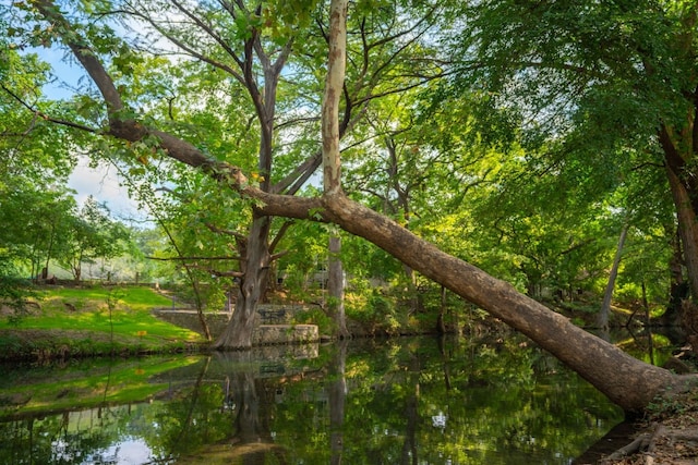 view of nature featuring a water view