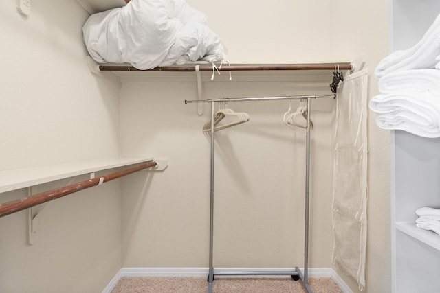 spacious closet with carpet floors