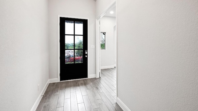 667 Bay Breeze Dr, Kyle, TX 78640 - entryway with wood finished floors and baseboards