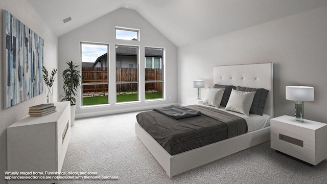 667 Bay Breeze Dr, Kyle, TX 78640 - bedroom with carpet flooring and lofted ceiling