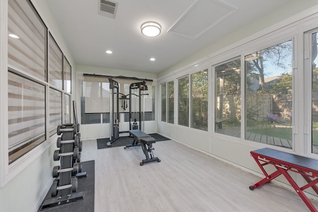 workout room featuring wood-type flooring