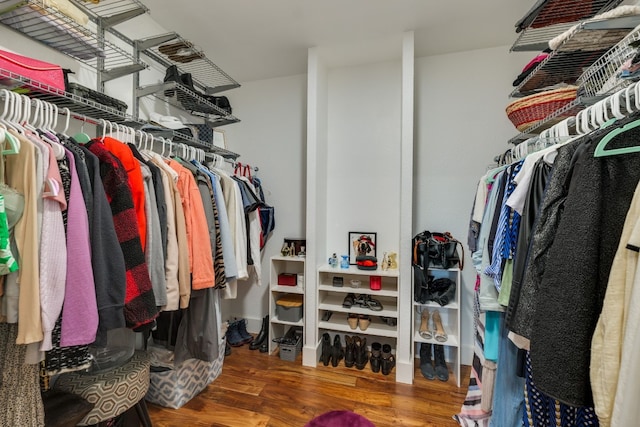 spacious closet with wood-type flooring