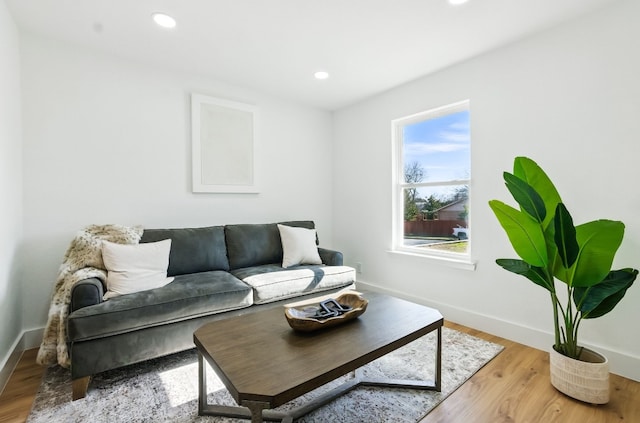 living room featuring light hardwood / wood-style floors