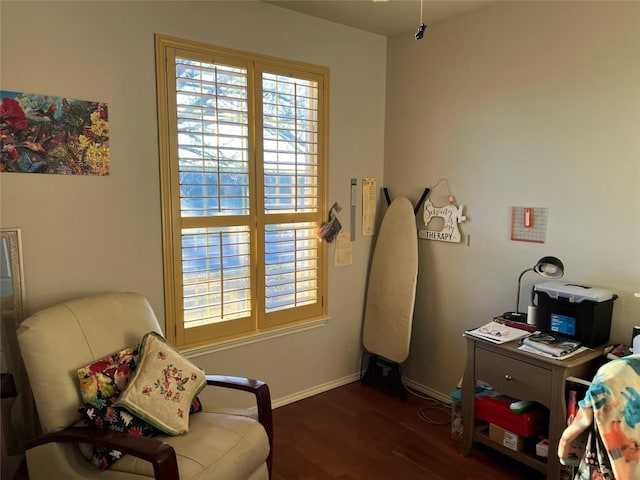 living area with dark hardwood / wood-style floors