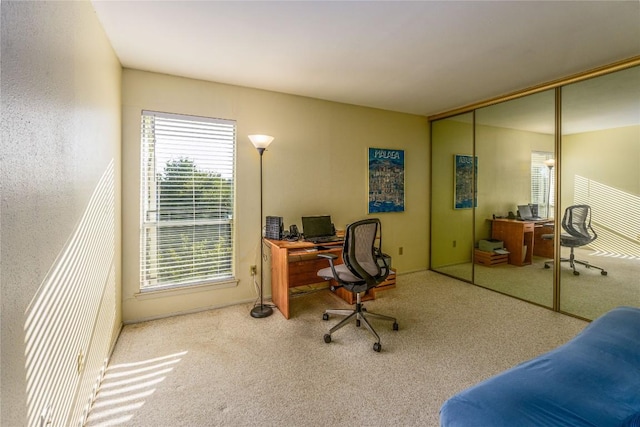 office area featuring carpet