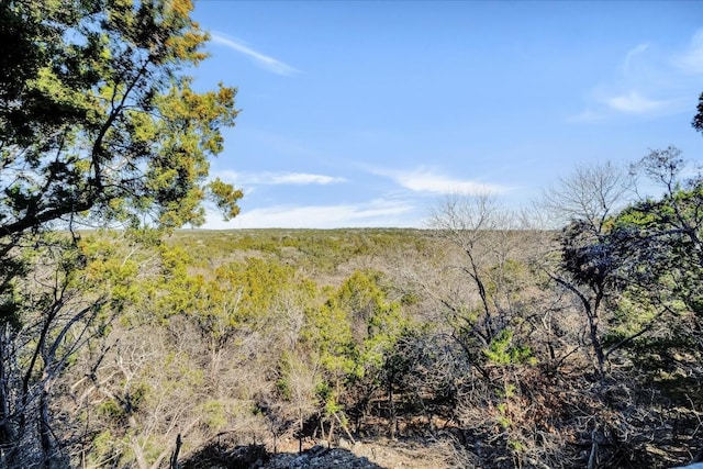 view of local wilderness