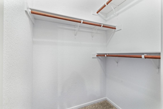 walk in closet with carpet