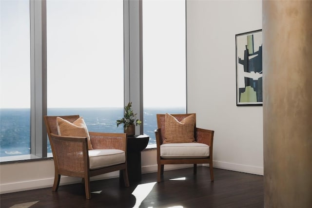 sitting room with dark hardwood / wood-style flooring