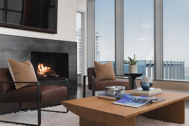 interior space with hardwood / wood-style flooring, a fireplace, and a wealth of natural light