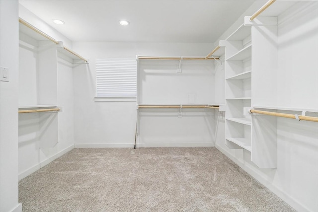 spacious closet with light carpet