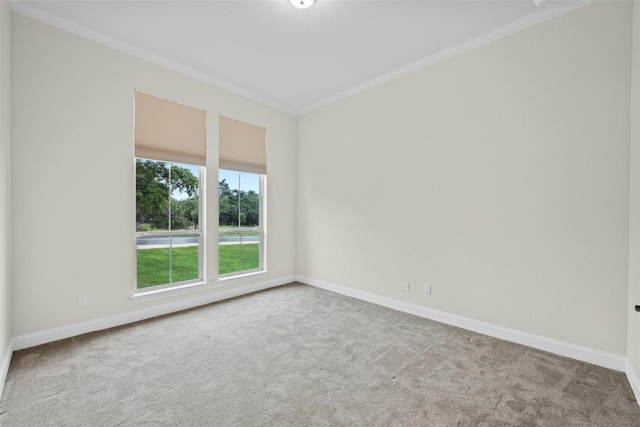 carpeted spare room featuring ornamental molding