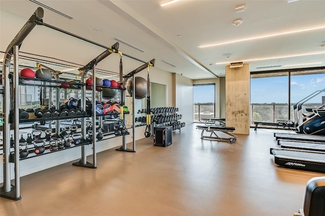 exercise room featuring a wall of windows