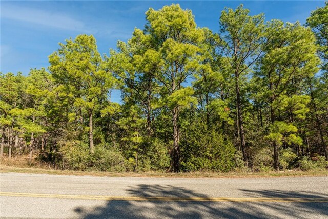 LOT1161 Kaanapali Ln, Bastrop, TX 78602