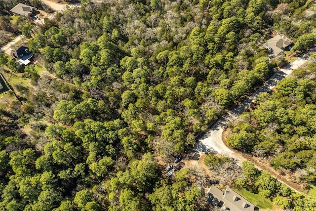 107 Lopa Ct, Bastrop, TX 78602
