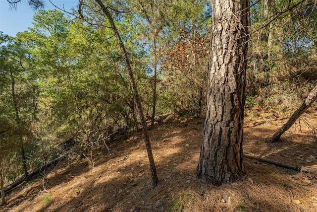 107 Lopa Ct, Bastrop, TX 78602