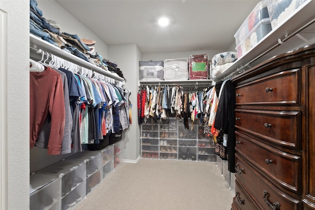 spacious closet with carpet floors