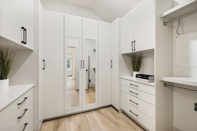 walk in closet featuring lofted ceiling and light wood-type flooring