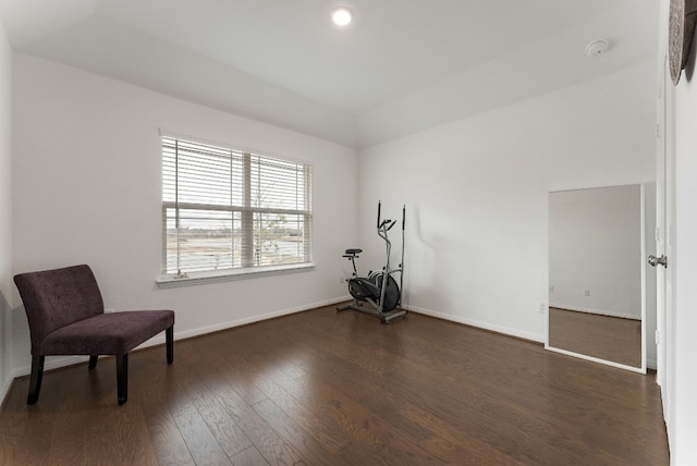 living area featuring dark wood-type flooring