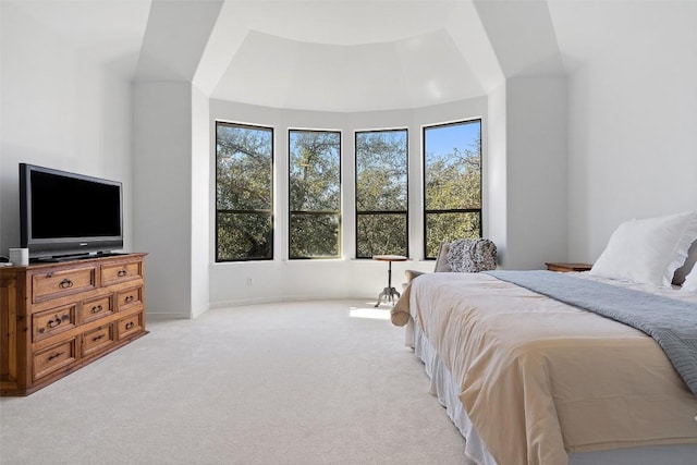 carpeted bedroom with multiple windows