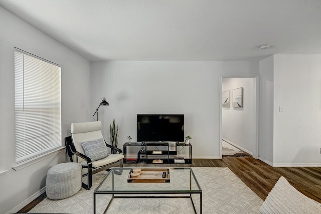 living room with hardwood / wood-style flooring