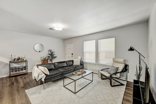 living room featuring hardwood / wood-style flooring