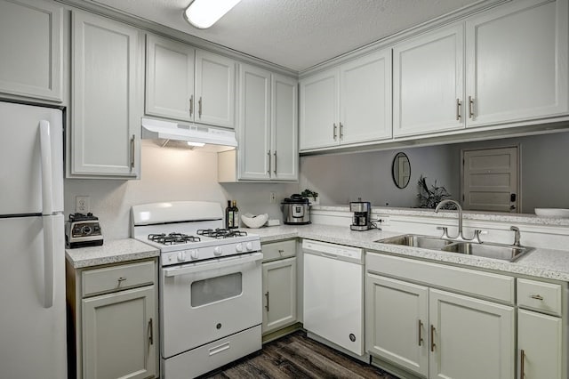 kitchen with dark hardwood / wood-style flooring, sink, and white appliances