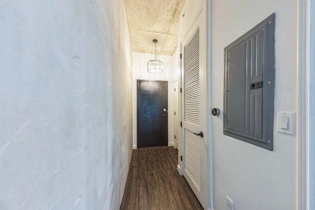 hallway with dark hardwood / wood-style floors