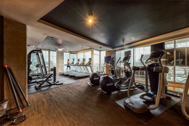 exercise room with floor to ceiling windows and a raised ceiling