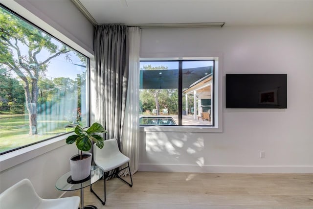 living area featuring light hardwood / wood-style floors