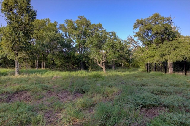 view of local wilderness