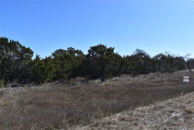 Listing photo 3 for TBD County Road 252, Bertram TX 78605