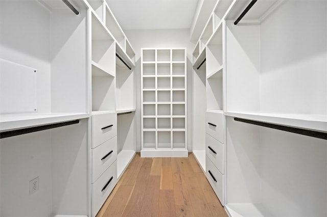 walk in closet featuring light wood-type flooring