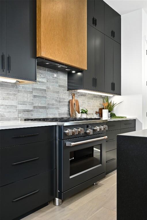 kitchen featuring decorative backsplash, light wood-type flooring, and high end stove