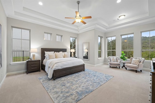 carpeted bedroom featuring a raised ceiling and ceiling fan