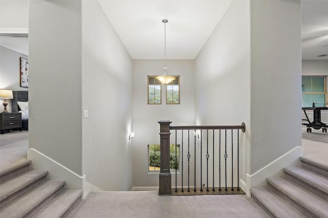 staircase featuring carpet flooring